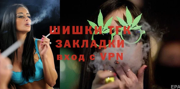 шишки Абинск