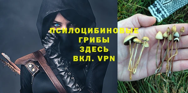 шишки Абинск