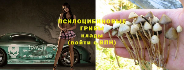 дживик Переславль-Залесский